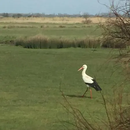 Au Coeur Du Marais Breton Летний дом