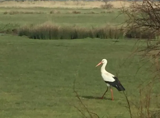 Au Coeur Du Marais Breton Casa rural